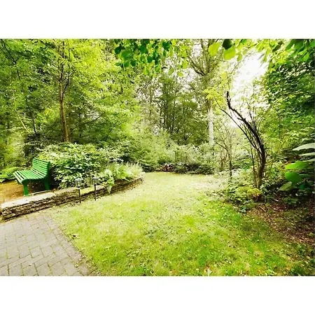 Forest House In The Valley 別荘 Morsbach