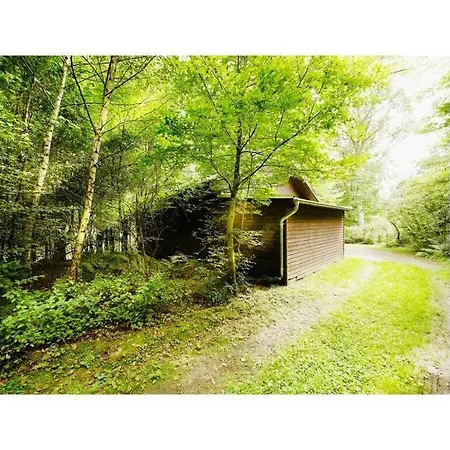 Forest House In The Valley * Morsbach